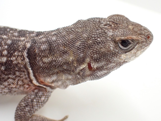 LINE_ALBUM_20240222 _1_240222_36