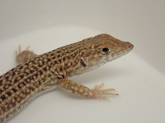 LINE_ALBUM_20240418_240422_51