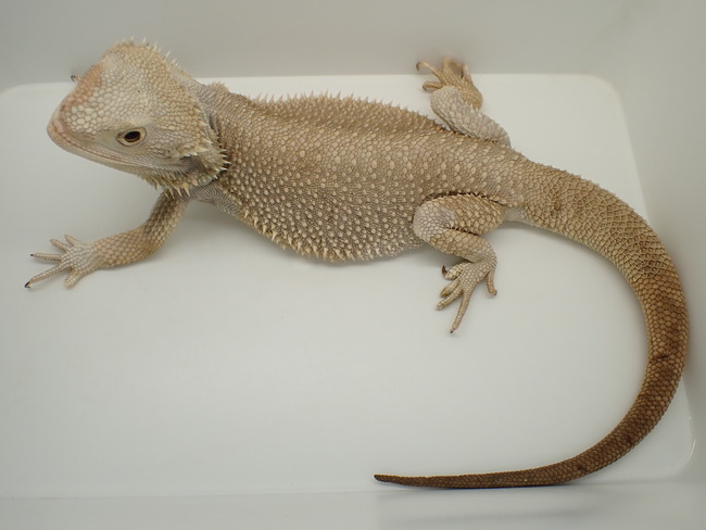 P5043644