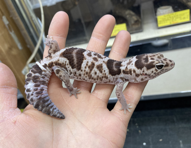 BC40E9B9-9EBC-4512-A1E5-58A1EC1DEB49