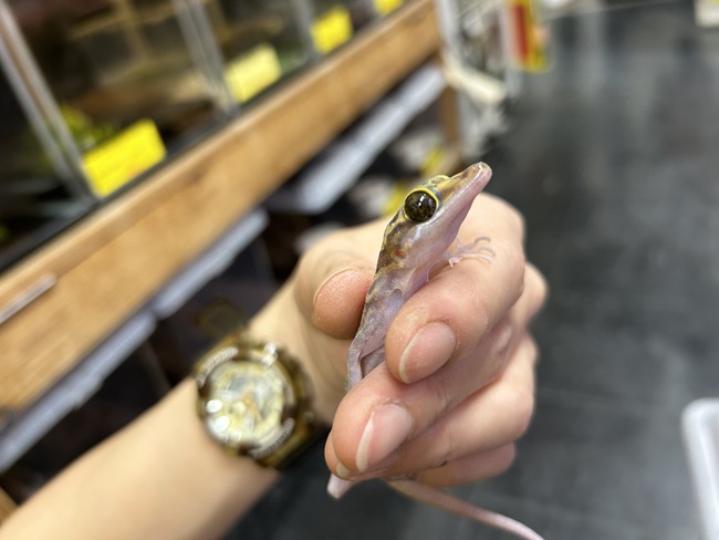 ED570A8C-A2A7-48BE-A69B-BD3428F36266