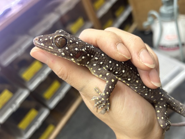 01E8FEE9-DE64-4EC9-B88E-B840D4540EC7