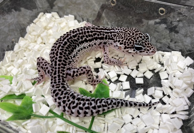 AC7C3B60-055B-4665-8C4F-D5E9706B2CC2