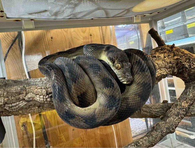 FullSizeRender