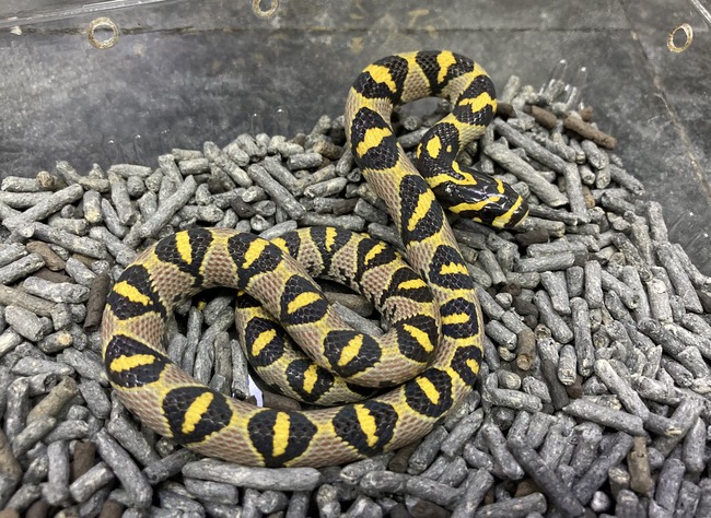 E7AC903E-B978-4A0F-A1EC-959C088B5620