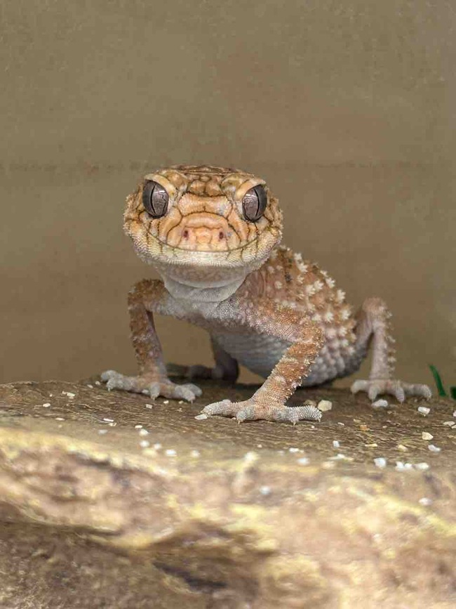 AB0BBBFA-2A04-4C71-882F-D0ACB50AFC4B