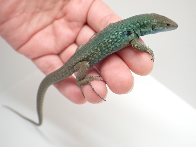 LINE_ALBUM_20241113_241114_1