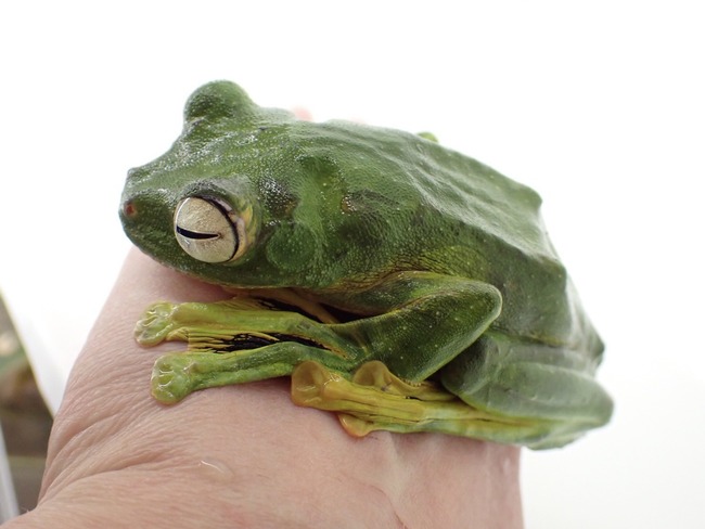 F2AC21E2-77BA-4EE2-80E5-921263DD66F5