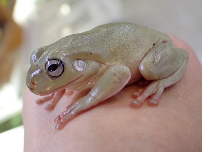 B95EC806-6F58-4AF9-97E1-85C8A3879F76