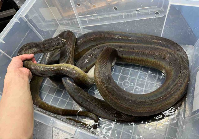 FullSizeRender
