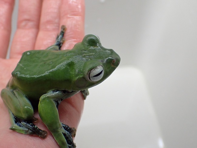 2E09DED7-5C26-4073-A169-C6A07A2FC37D