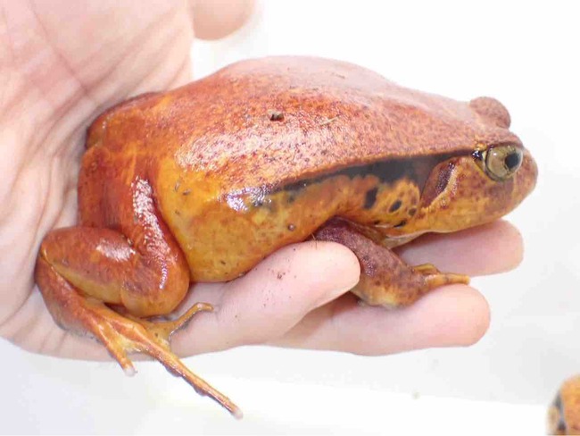 IMG_6582
