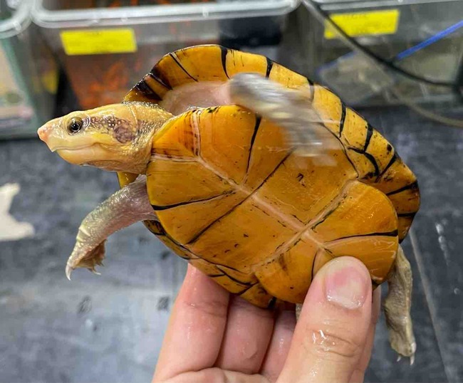 FullSizeRender