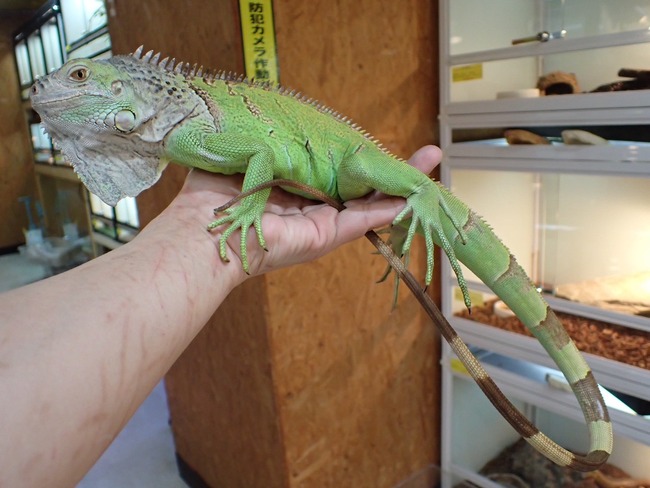 LINE_ALBUM_20240222 _1_240222_47