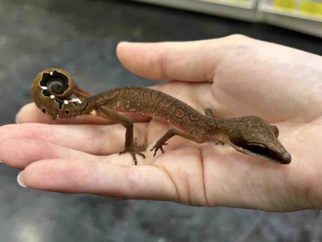 482FB34A-51BD-4459-B622-827A77935164