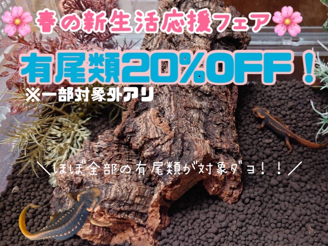 10224A2C-60F3-44FB-88B1-9488AFE70274
