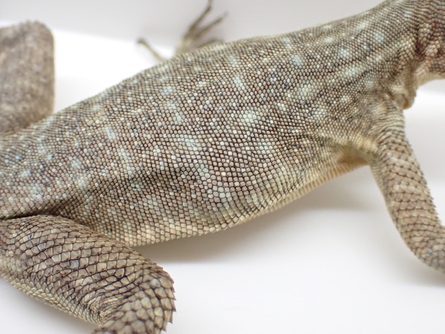 LINE_ALBUM_20240222 _1_240222_4