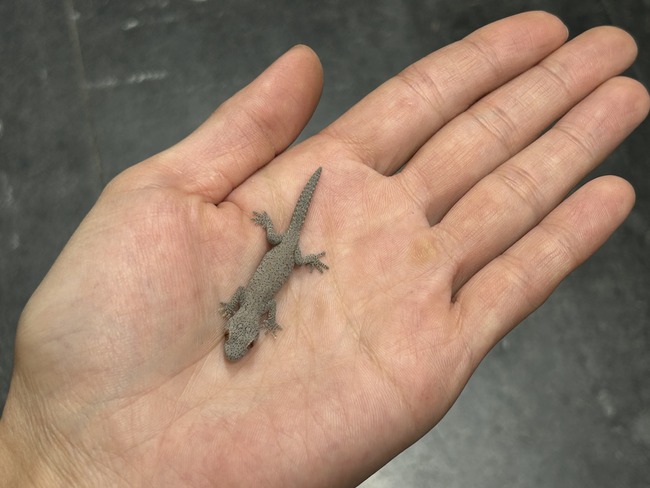 ADF92114-34EA-4465-A85A-3827C87EE907