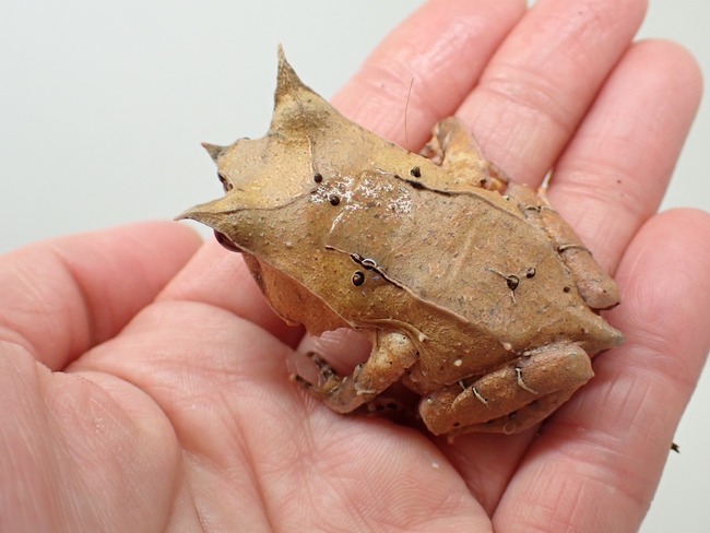 878E685C-FC34-4FFC-B04E-22AD6AC19CA6