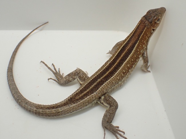 LINE_ALBUM_20240222 _1_240222_19