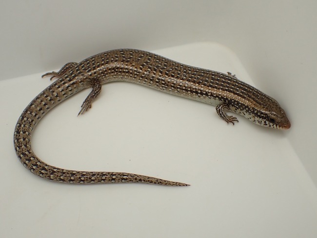 LINE_ALBUM_20240418_240422_25