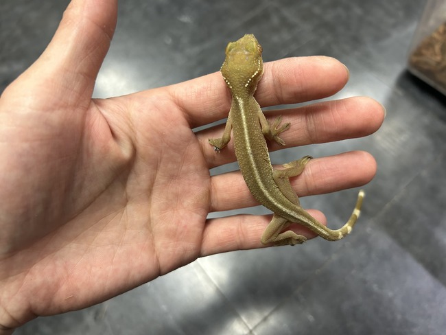 97046BB1-C979-4A9E-AB73-62D72BA8895E