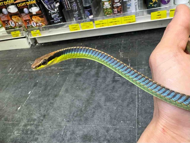 FullSizeRender