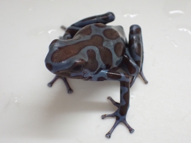 A8EC6D8A-E6FD-41CE-9F90-4107C046D2F8