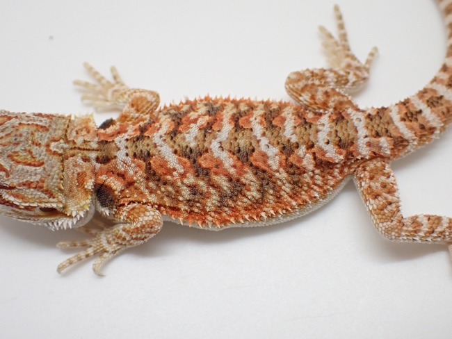 LINE_ALBUM_20240411_240412_57