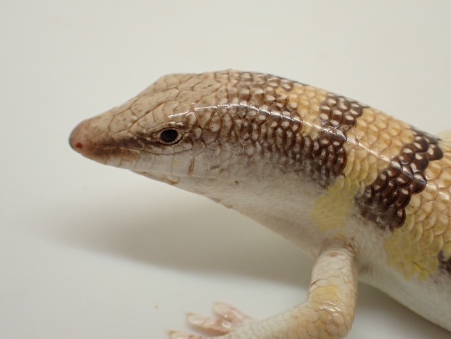 LINE_ALBUM_20240418_240422_11