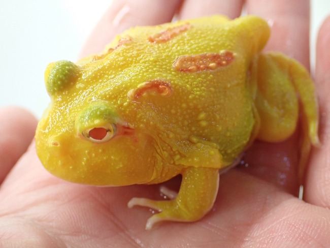 85E17725-61E8-49ED-890F-305C85DBE093