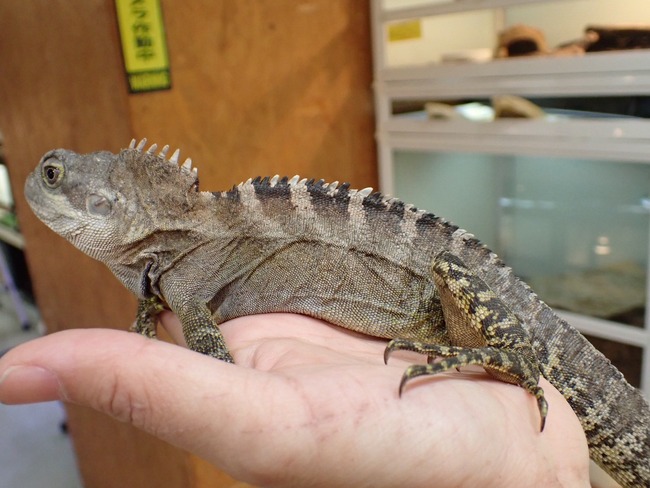 LINE_ALBUM_20240408 _1_240409_16