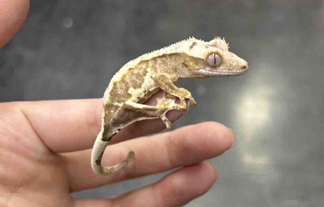 74BADBE7-B324-444C-85EA-CB5ADCCF7040