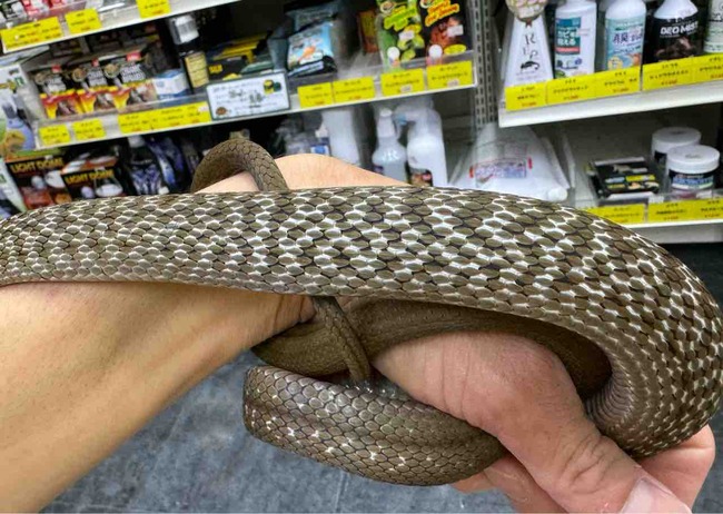 FullSizeRender