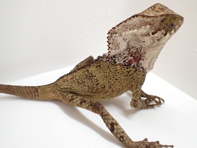 LINE_ALBUM_20241119_241121_4