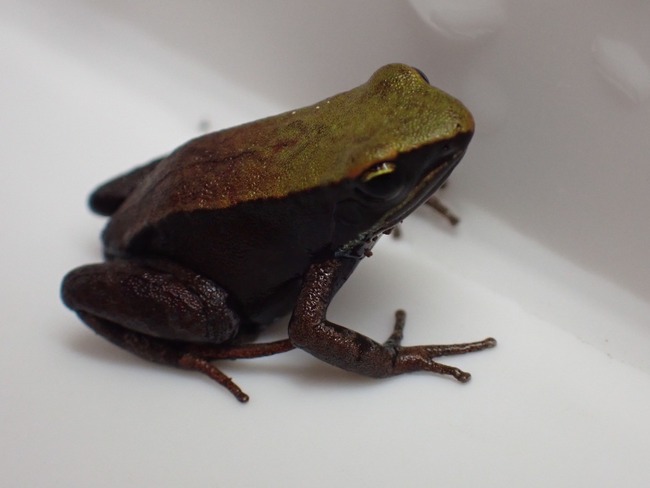 9AF07C48-A890-46D7-9555-6ABE477BFFF3