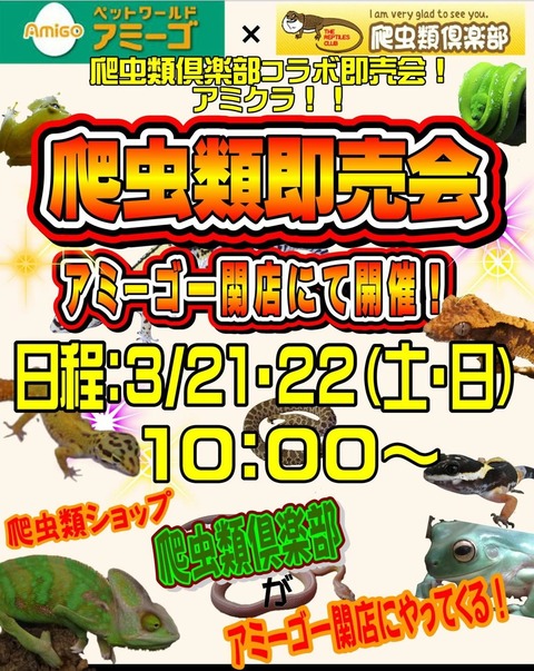 Screenshot_20260226-215313~2