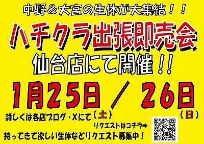 仙台店即売会2025.1.10