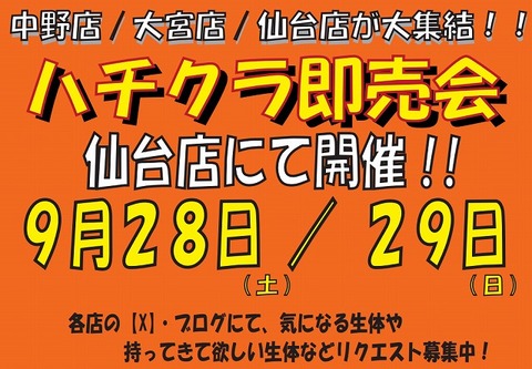 Screenshot_20240906-215824~2