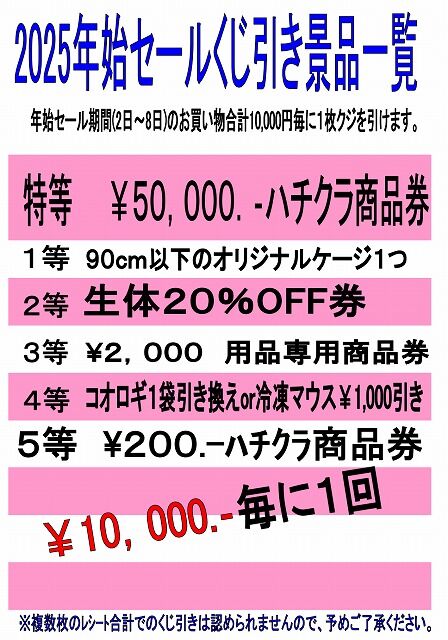 Screenshot_20241230-031557~2