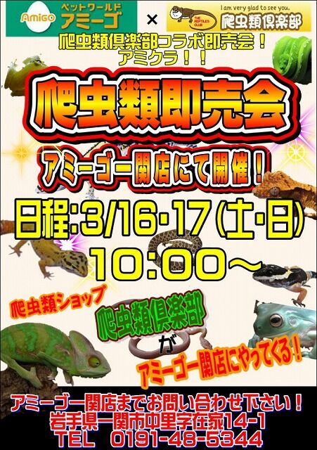 1708159277_9