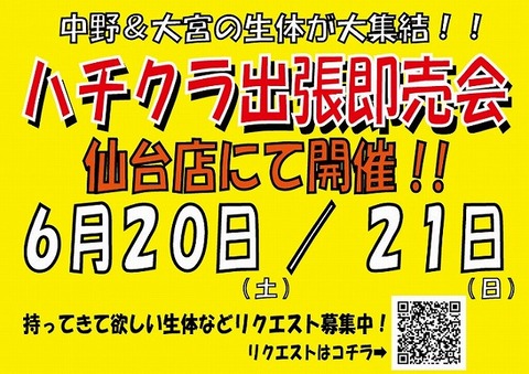 仙台店即売会2026.6.20-1