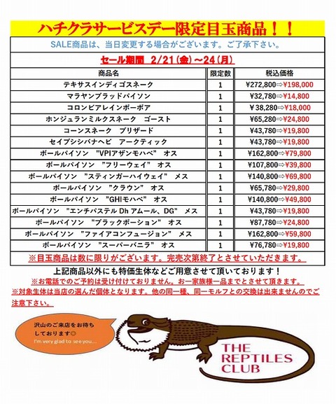 Screenshot_20250220-195553~2