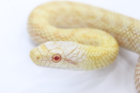 BEF3FC04-9F04-46E8-A4F6-A34458C10A46