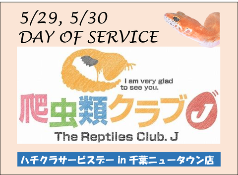 サービスデー