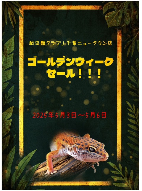 1745628930547