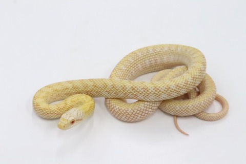 6726C6E5-F254-4A06-B7BE-8AB669C54CA1