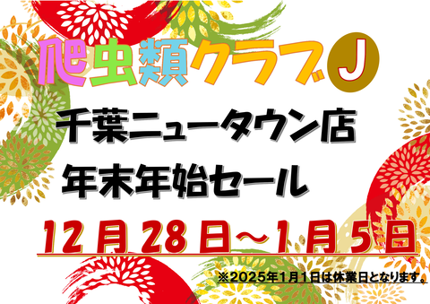 年始セールPOP2025_01