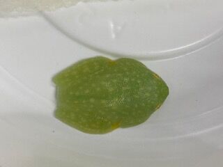 image0