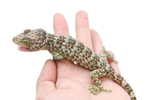 E974869F-220B-4A01-B74A-C230B50DF149